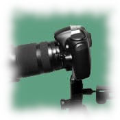 Bild einer Digitalkamera mit Stativ